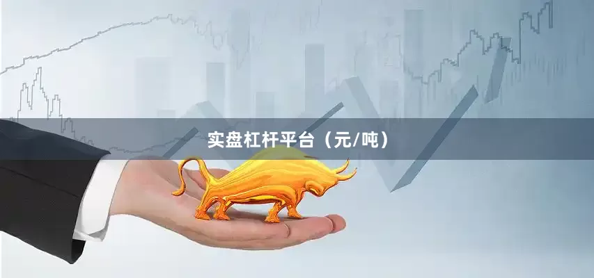 实盘杠杆平台（元/吨）