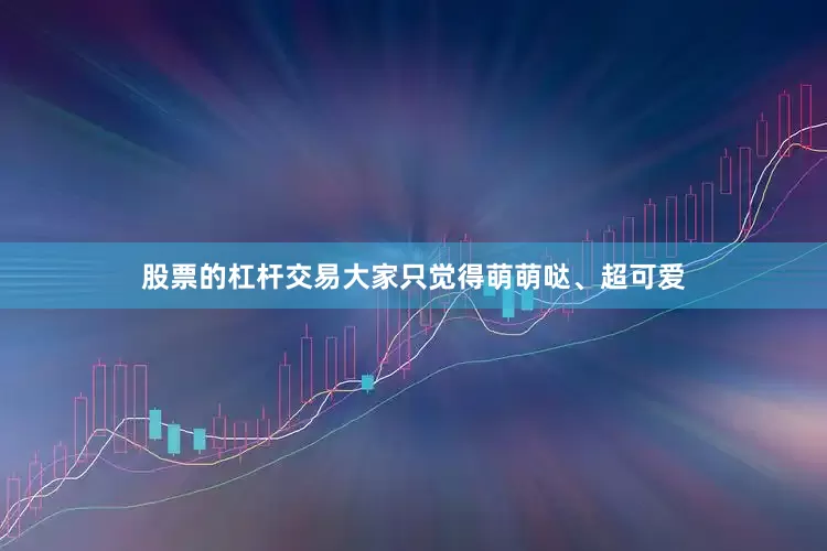 股票的杠杆交易大家只觉得萌萌哒、超可爱
