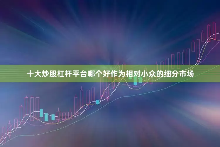 十大炒股杠杆平台哪个好作为相对小众的细分市场