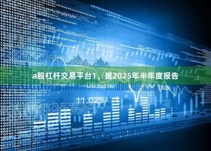 a股杠杆交易平台1、据2025年半年度报告